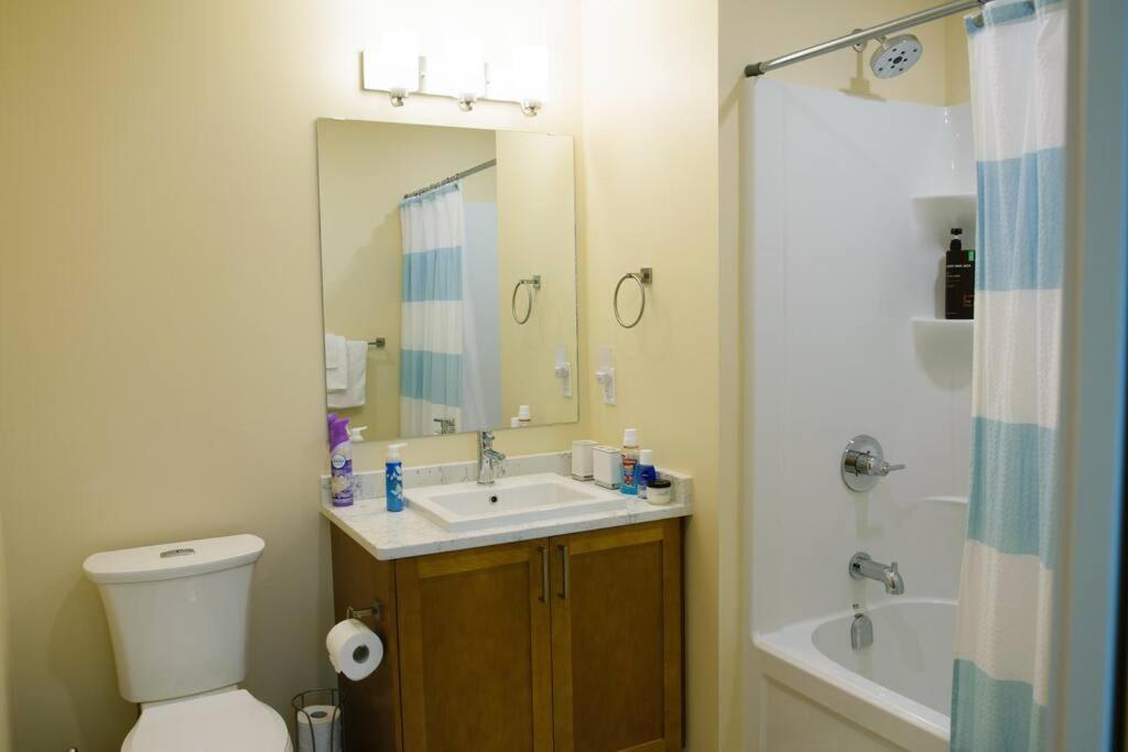 Apartment Bright Modern Stylish In Heart Of Downtown *
